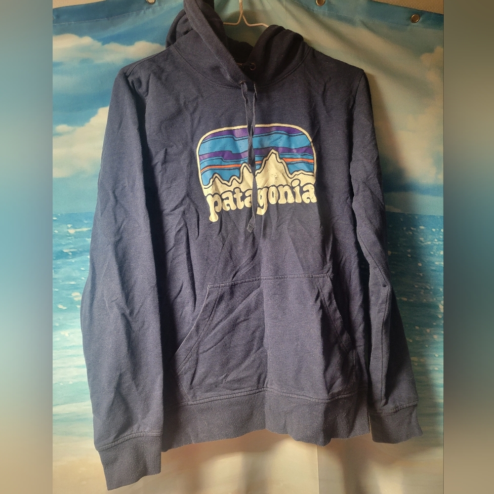 Patagonia Organic Cotton Size Medium Hoodie Sweatshirt Mens
